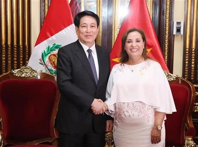 State President Luong Cuong (L) and President Dina Ercilia Boluarte Zegarr. (Photo: VNA)