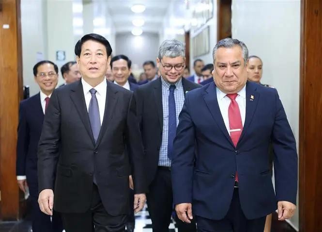 State President Luong Cuong (L) and President of the Council of Ministers of Peru Gustavo Adriazén. (Photo: VNA)