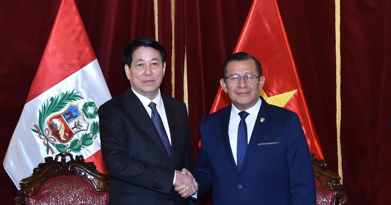 Vietnam’s State President Luong Cuong (left) and President of the Congress of Peru Eduardo Sanjuana at their meeting in Lima on November 13 afternoon (local time). (Photo: VNA)