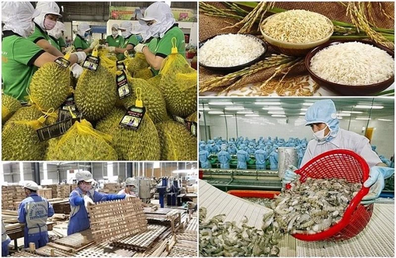 In 2024, the total export turnover of agricultural, forestry and fishery products is estimated to reach a record high of 62.4 billion USD, an increase of 18.5% compared to 2023.