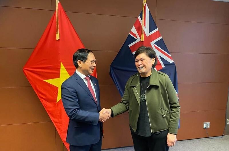 Vietnamese Minister of Foreign Affairs Bui Thanh Son (L) and his New Zealand counterpart Nanaia Mahuta