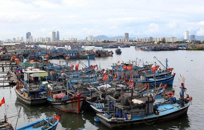 Localities from Nghe An to Binh Dinh have guide 57,800 vessels to seek safe shelters (Photo: VNA)