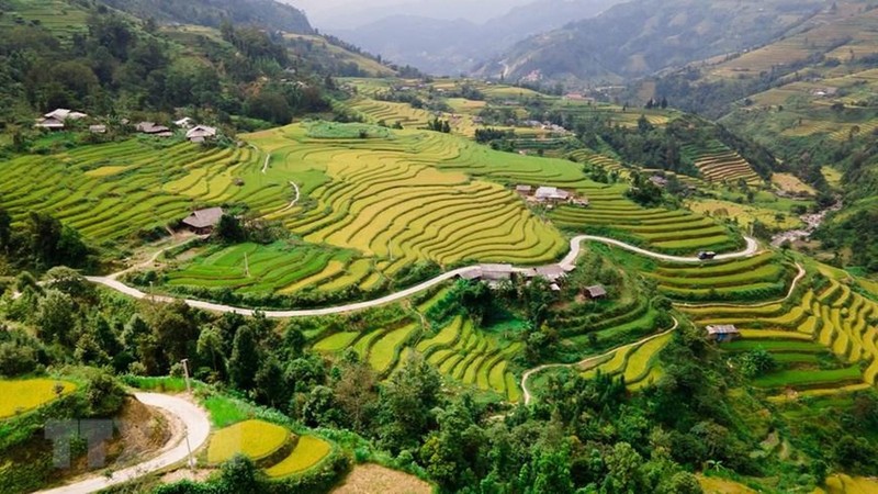 Terraced fields look like stairs sketching to the horizon (Photo: VNA)