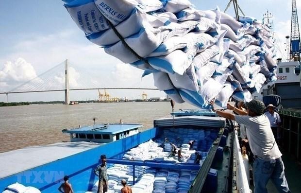 Vietnam’s rice export to hit 7 million tonnes this year (Photo: VNA)