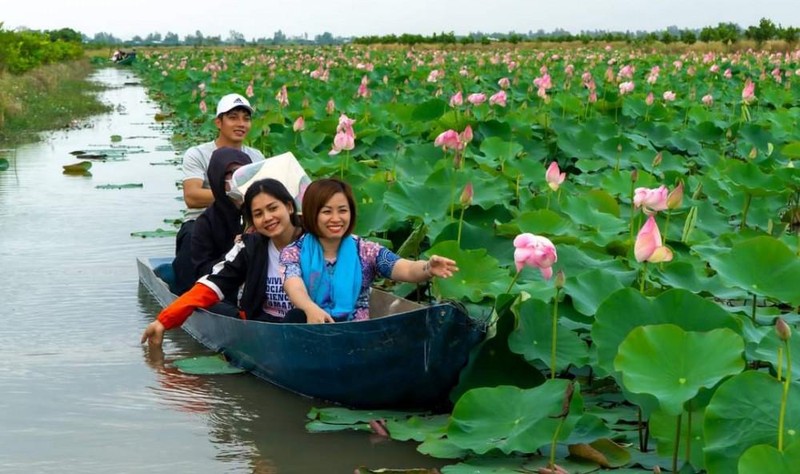 Dong Thap develops lotus-related tourism products (Photo: Nguyen Toan)