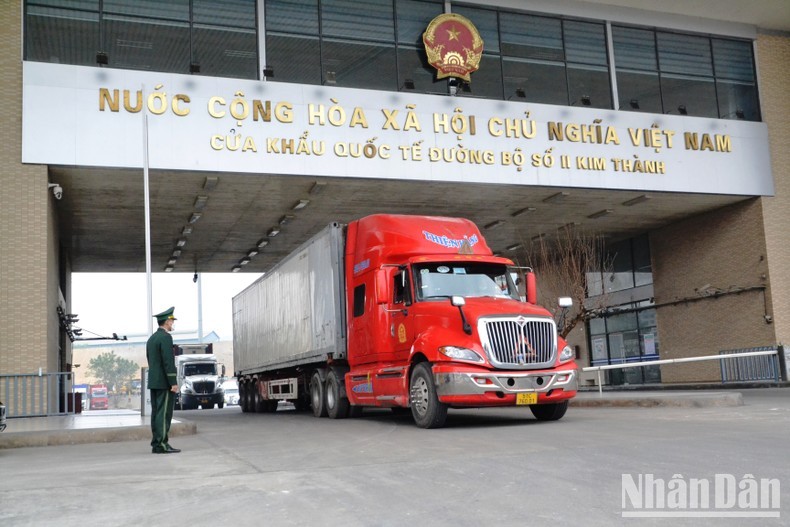 First 150 tonnes of dragon fruit exported through Kim Thanh Border Gate in Lao Cai