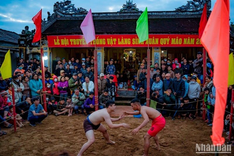 Sinh Village wrestling festival generates excitement among crowds in Hue