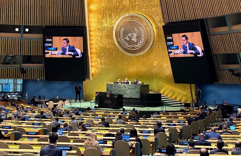 Ambassador Dang Hoang Giang, Permanent Representative of Vietnam to the United Nations, speaks at the plenary. (Photo: VNA)