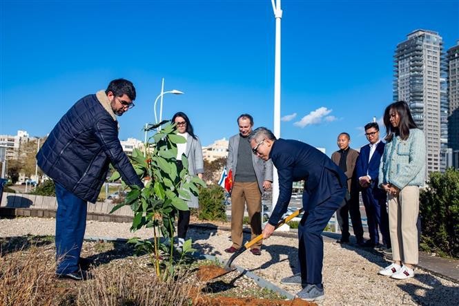 Vietnamese Ambassador to Israel Ly Duc Trung and Deputy Mayor of the city of Ashdod Eli Nacht plant a tree at the tree-planting ceremony in Ashdod City. (Photo: VNA)