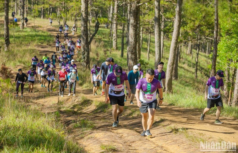 7,000 runners to join Dalat Ultra Trail 2023 (Photo: NDO)