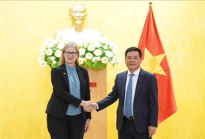 Minister of Industry and Trade Nguyen Hong Dien (right) and Swedish Ambassador to Vietnam Ann Måwe at the meeting in Hanoi on May 9. (Photo: VNA)