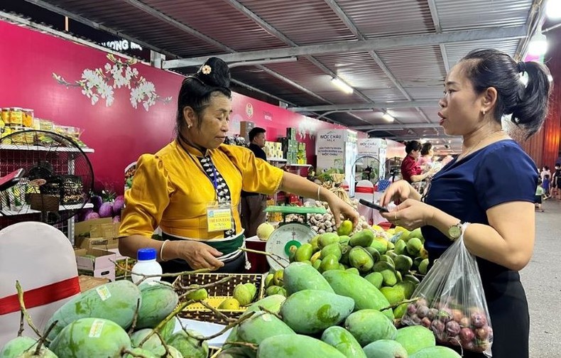 Son La’s plum and agricultural products to be introduced in Hanoi 
