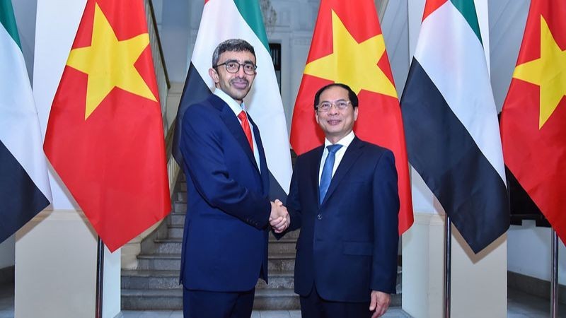 Minister of Foreign Affairs Bui Thanh Son (R) and his visiting counterpart from the United Arab Emirates (UAE) Sheikh Abdullah bin Zayed Al Nahyan (Photo: MOFA)