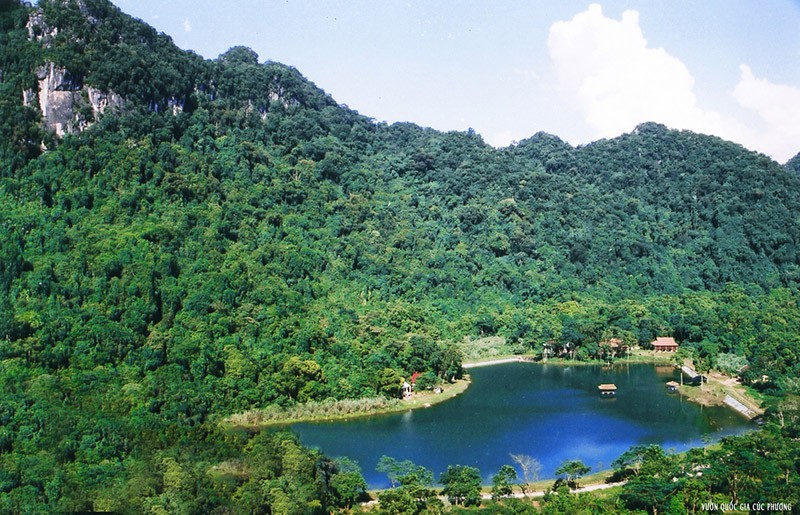 Cuc Phuong National Park has been named 'Asia’s Leading National Park' by the World Travel Awards for the fifth consecutive year. (Photo: baodautu.vn)