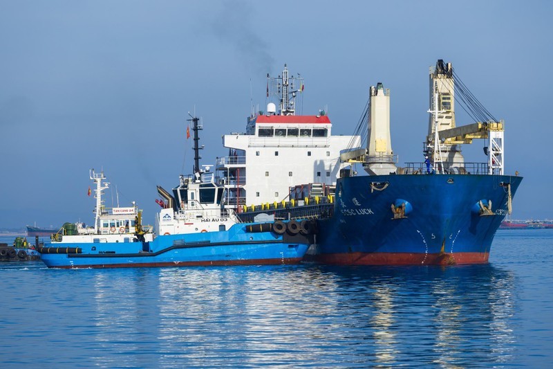 Hoa Phat Dung Quat container port welcomes first ship 