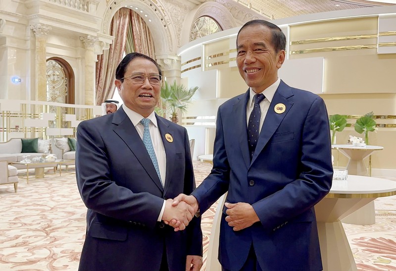 Prime Minister Pham Minh Chinh (L) and Indonesian President Joko Widodo. (Photo: VNA)