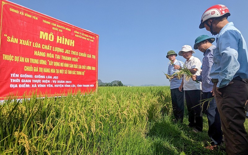 Centre in Vinh Yen Commune, Vinh Loc District, Thanh Hoa Province. (Photo: Trong Minh)