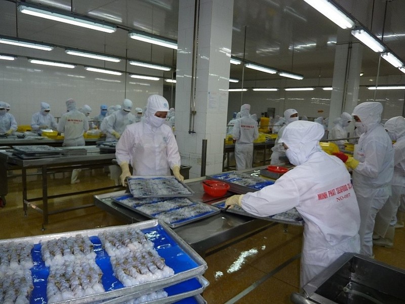 Workers process shrimp for export (Photo: Hai Anh)