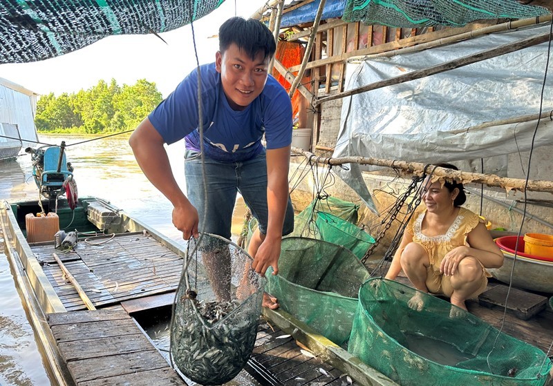 Fish farming in flood season in the Southwest region