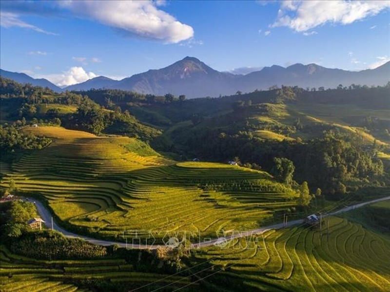 Terraced rice fields in Sa Pa (Photo: VNA)