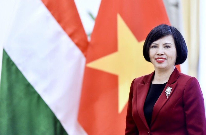 Vietnamese Ambassador to Hungary Nguyen Thi Bich Thao (Photo: Vietnamese Embassy in Hungary)