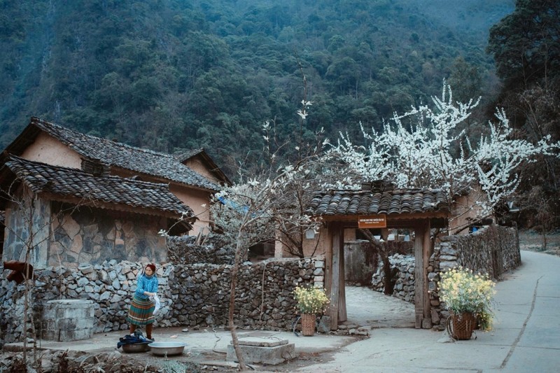The house featured in the movie ‘Pao's Story attracts many tourists to the northern province of Ha Giang.