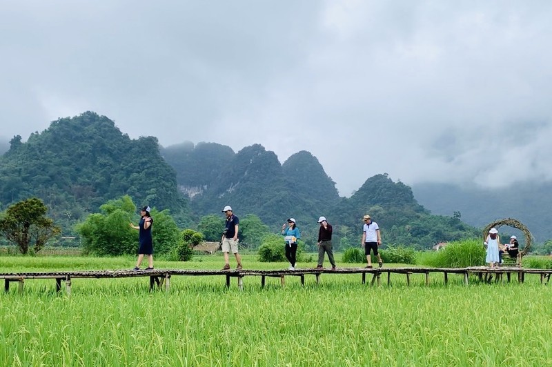 Tourists explore green ricefields in Lam Binh District, Tuyen Quang Province (Photo: VNA)