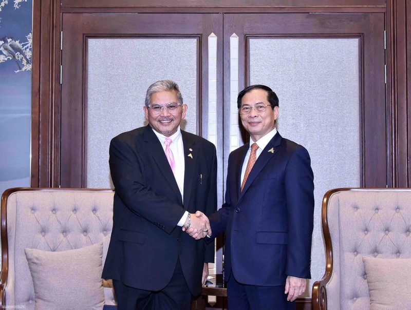  Minister of Foreign Affairs Bui Thanh Son (R) and Second Minister of Foreign Affairs of Brunei Dato Pehin Erywan Yusof. (Photo: baoquocte.vn) 