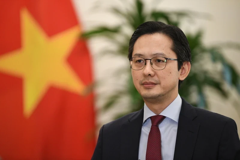 Deputy Minister of Foreign Affairs Do Hung Viet (Photo: MOFA)