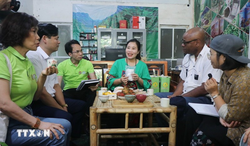 The FAO delegation visits an agricultural model in Bac Kan province. (Photo: VNA)