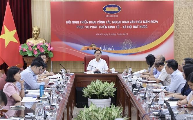 Minister of Foreign Affairs Bui Thanh Son chairs the conference on July 9 (Photo: VNA)