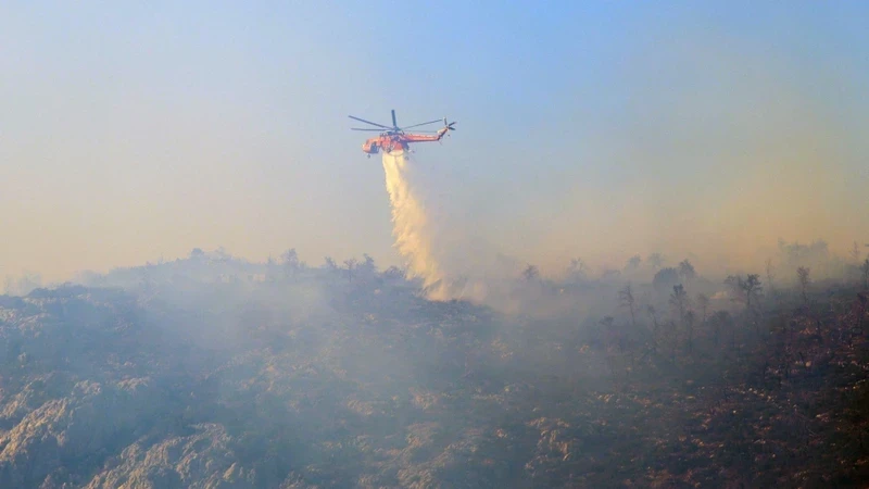 Wildfire burns on Mount Parnitha, near Athens, Greece (Photo: REUTERS)