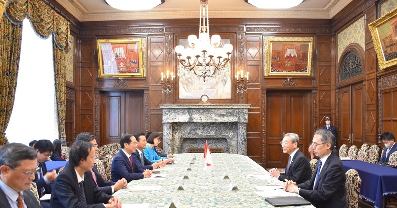 The meetings between Vietnamese Foreign Minister Bui Thanh Son and Vice President of the House of Councillors of Japan Nagahama Hiroyuki on August 9 (Photo: VNA)