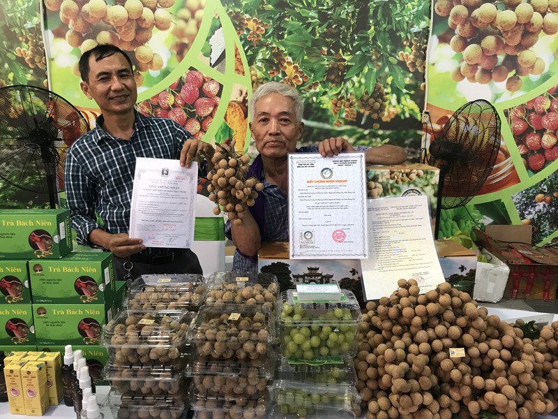 A booth displaying fresh longan of Hung Yen City at Hung Yen Longan Week 2024 at the Vinhomes Oceanpark 2 Urban Area, Hung Yen Province.