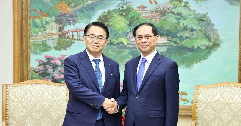 Deputy PM and Minister of Foreign Affairs Bui Thanh Son (R) and Governor of Japan’s Aichi prefecture Omura Hideaki. (Photo: VNA)