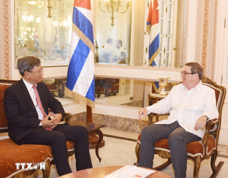 Cuban Foreign Minister Bruno Rodríguez Parrilla receives Vietnamese Ambassador to Cuba Le Quang Long (Photo: VNA)