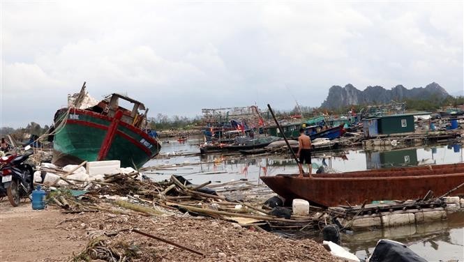 Boats and aquaculture cages in Quang Yen township were damaged after Typhoon Yagi swept over the northern coastal province of Quang Ninh. (Photo: VNA)