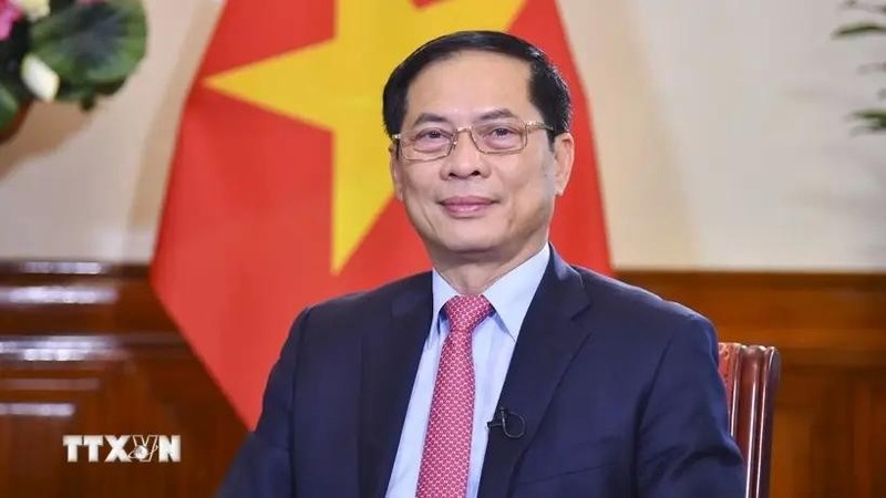 Deputy PM and Minister of Foreign Affairs Bui Thanh Son (Photo: VNA)