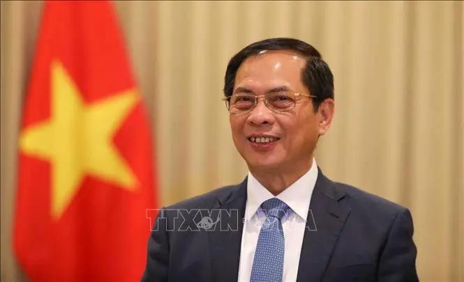 Deputy Prime Minister and Minister of Foreign Affairs Bui Thanh Son. (Photo: VNA)