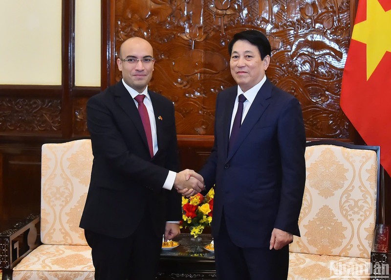 State President Luong Cuong (R) receives Algerian Ambassador to Vietnam Sofiane Chaib. (Photo: NDO)