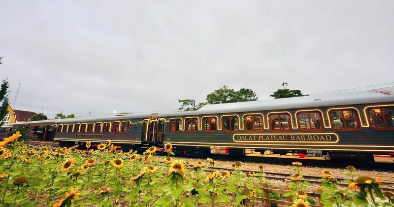 Premium tourist train ‘La Reine’ for Da Lat - Trai Mat route launched