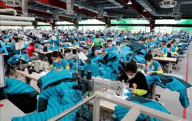 Workers produce garments for export to the US and the EU at the Maxport Thai Binh apparel company (Photo: VNA)