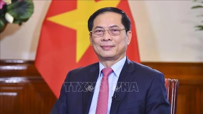 Deputy Prime Minister and Minister of Foreign Affairs Bui Thanh Son. (Photo: VNA)