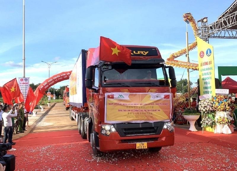The trucks carrying the first shipment of durian to ship to China.