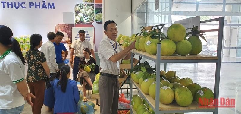 Agricultural products showcased at the space (Photo: NDO)