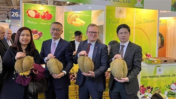 Vietnamese Ambassador to Germany Vu Quang Minh (second, left) and Ludwig Graf Westarp (second, right), Director of Skaro company who represents the BVMW take a photo with Vietnamese durian, a loved fruit at the exhibition. (Photo: VNA)