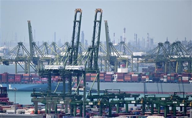 Container cargo at the Pasir Panjang terminal port in Singapore. (AFP/VNA Photo)