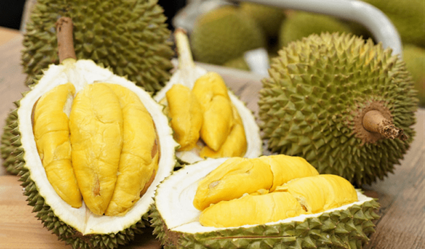 In 2022, Vietnam's durian export turnover was nearly 400 million USD, including 300 million USD to China. (Photo: VNA)