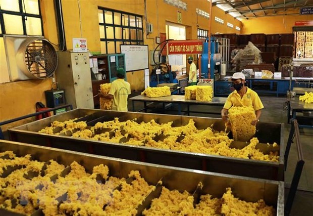 At a rubber processing facility in Vietnam (Photo: VNA)