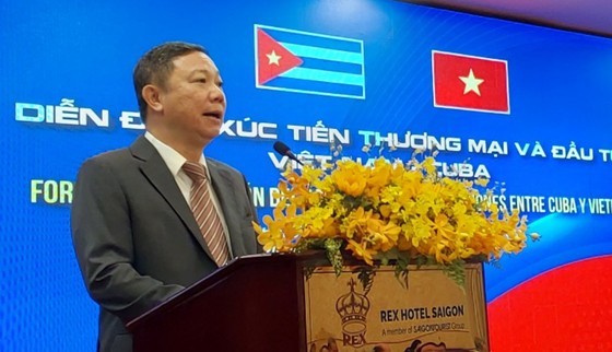 Vice Chairman of the Ho Chi Minh City People’s Committee Duong Anh speaking at the event. (Photo: sggp.org.vn)